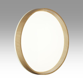 Настенно-потолочный светильник Sonex BASICA 7684/ELN