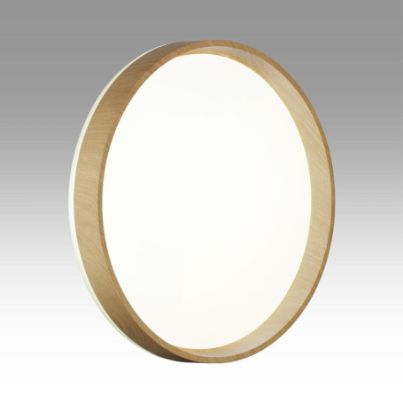 Настенно-потолочный светильник Sonex BASICA 7684/ELN