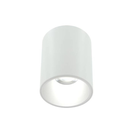 Накладной светильник Lightera Shamrock LE200CL-1W