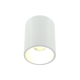 Накладной светильник Lightera Shamrock LE200CL-1W