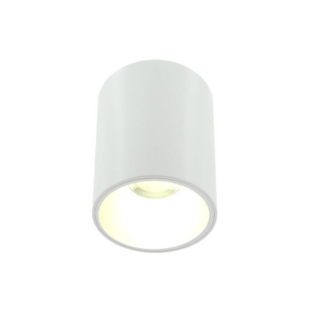 Накладной светильник Lightera Shamrock LE200CL-1W