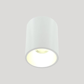 Накладной светильник Lightera Shamrock LE200CL-1W
