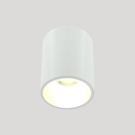 Накладной светильник Lightera Shamrock LE200CL-1W