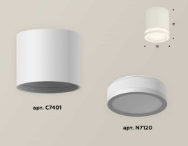 Комплект накладного светильника Ambrella light Techno Spot XS7401041 SWH/FR белый песок/белый матовый (C7401, N7120)