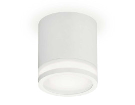 Комплект накладного светильника Ambrella light Techno Spot XS7401041 SWH/FR белый песок/белый матовый (C7401, N7120)