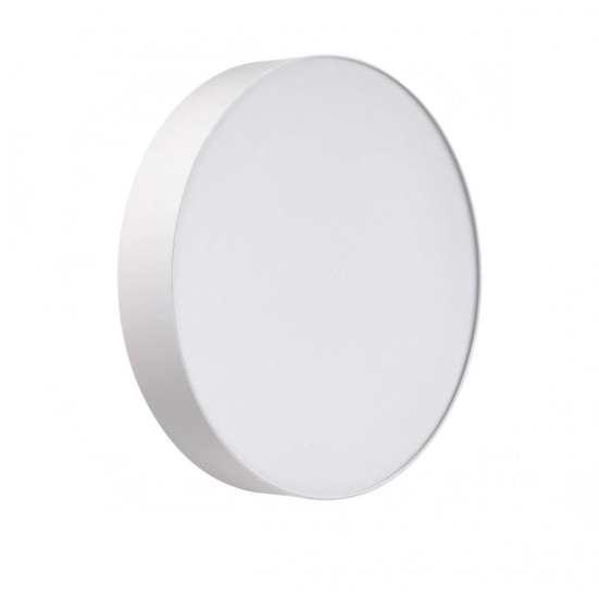 Настенно-потолочный светильник Sonex BASICA 7779/DLN