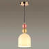Подвесной светильник Lumion Suspentioni Gillian 4589/1A