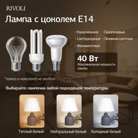 Настольная лампа Rivoli Muriel 7550-503 Б0070138