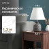 Настольная лампа Rivoli Muriel 7550-503 Б0070138