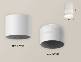 Комплект накладного светильника Ambrella light Techno Spot XS7401042 SWH/FR белый песок/белый матовый (C7401, N7141)