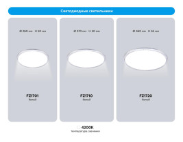 Светильник Ambrella Light ORBITAL FZ1701
