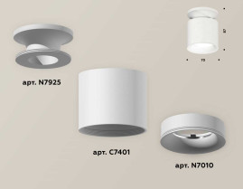 Комплект накладного светильника Ambrella light Techno Spot XS7401062 SWH белый песок (N7925, C7401, N7010)