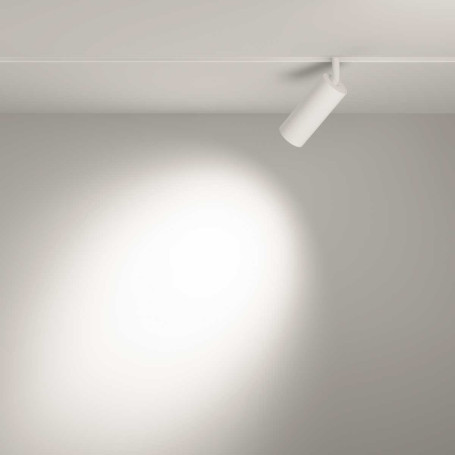 Трековый светильник Voltega Эксилайт / Exilight VGL032-4-12W3K-S-DS-W