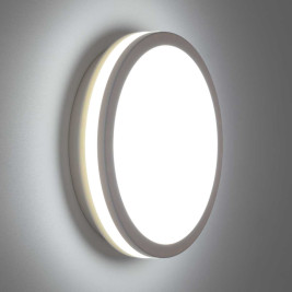 Светильник накладной Citilux LUNS CL711010V