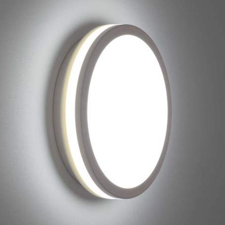 Светильник накладной Citilux LUNS CL711010V