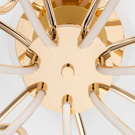 Потолочная светодиодная люстра Citilux Salma Smart CL224A172