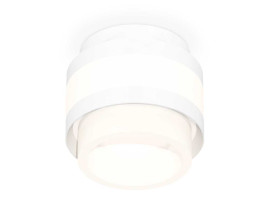 Комплект накладного светильника Ambrella light Techno Spot XS (C8418, N8401) XS8418001