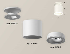 Комплект накладного светильника Ambrella light Techno Spot XS7401063 SWH белый песок (N7925, C7401, N7110)