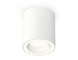 Комплект накладного светильника Ambrella light Techno Spot XS7421020 SWH белый песок (C7421, N7110)