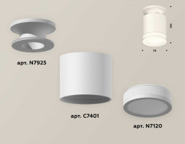 Комплект накладного светильника Ambrella light Techno Spot XS7401064 SWH/FR белый песок/белый матовый (N7925, C7401, N7120)