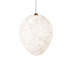 Подвесной светильник Loft IT Fionora 10531E