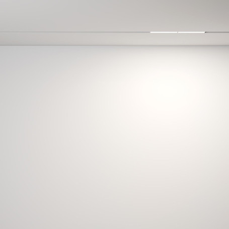 Трековый светодиодный светильник Maytoni Technical Exility Parete TR106-2-12W4K-W